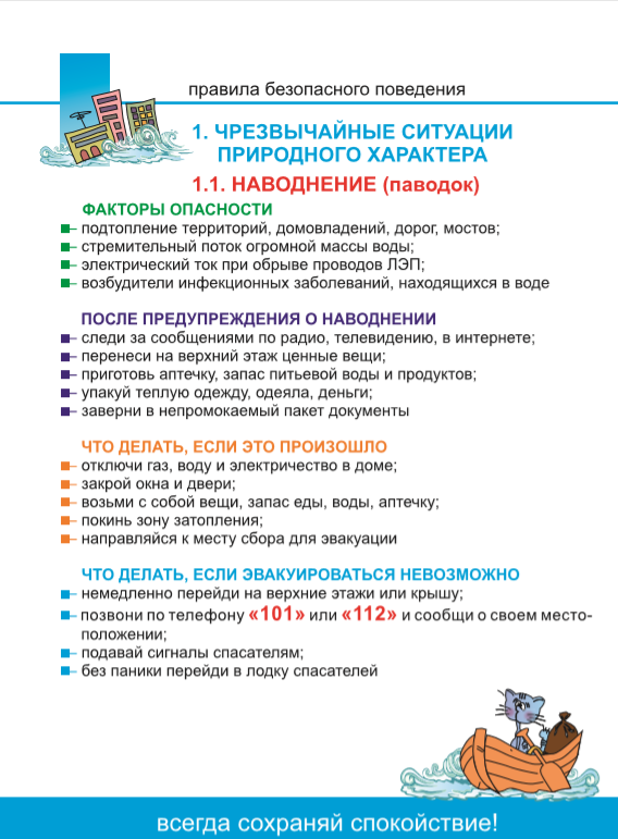 Изображение 11