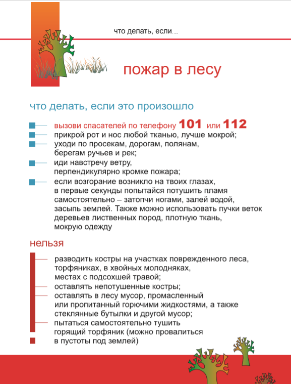 Изображение 12
