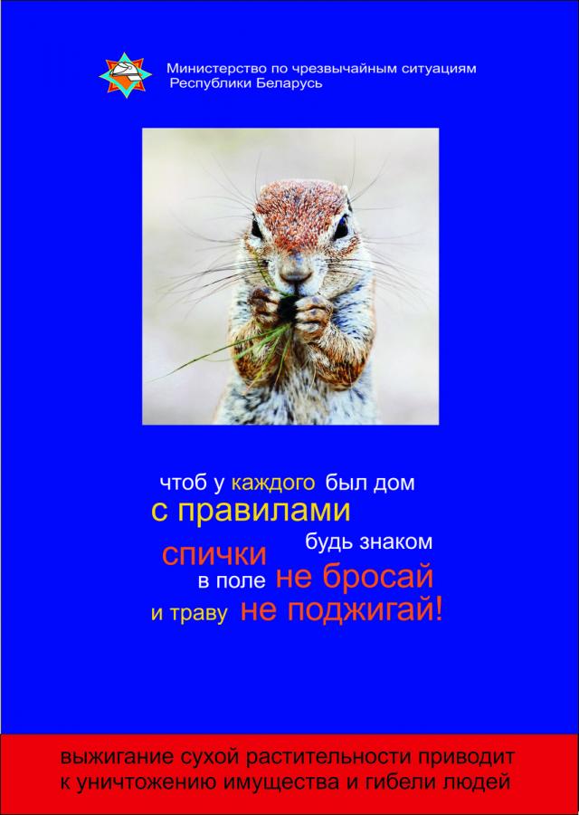 Изображение 16